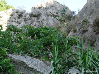 stoleone-09-08-2020 09
